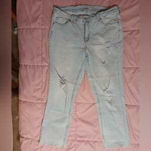 Seven7 Weekend Slim Fit Jeans 16W Plus Size